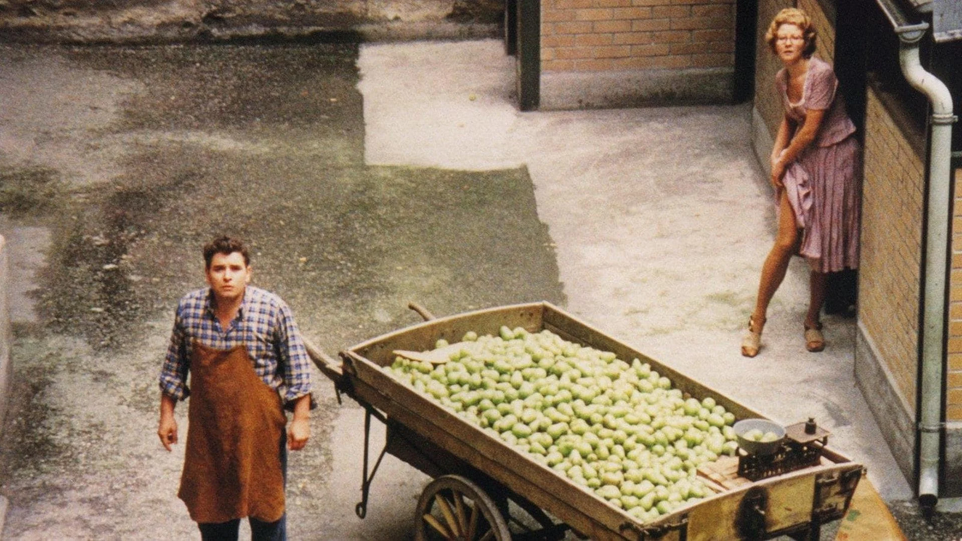 Bốn Mùa Đẩy Xe - The Merchant of Four Seasons